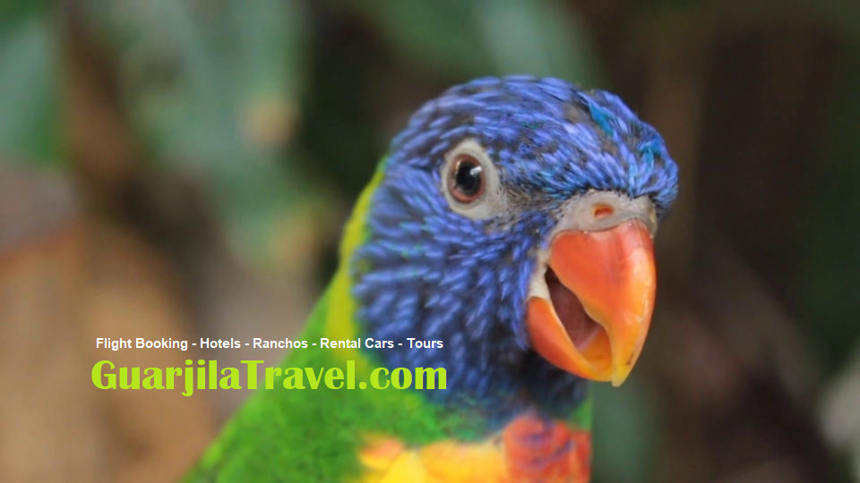 GuarjilaTravel Tours