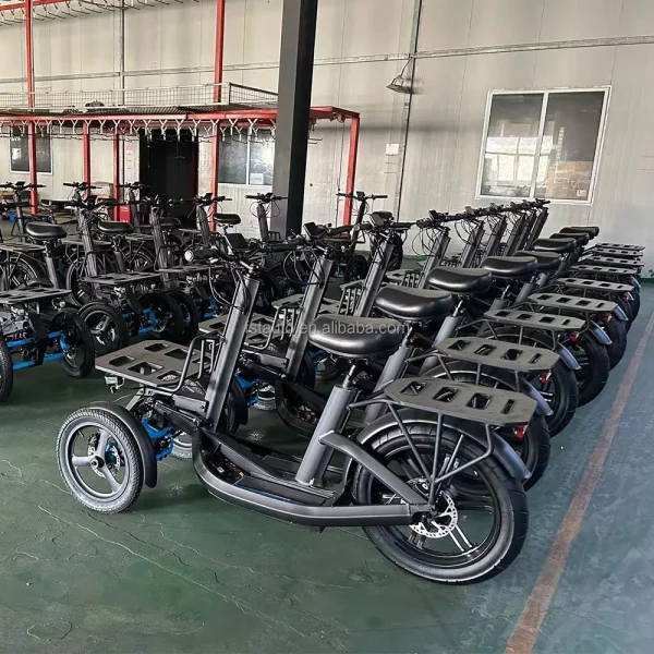 New Model safety 3 wheel fat tire delivery double battery trailer 48V 1000W electric tricycle bicycle electric cargo bike - Image 5