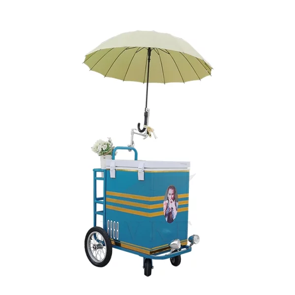 Mobile 3 Wheel Ice Cream Cargo Bike Electric Solar Vending Tricycles Food Trike Cooler Refrigerator Cart - Image 6