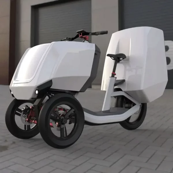 New Model safety 3 wheel fat tire delivery double battery trailer 48V 1000W electric tricycle bicycle electric cargo bike - Image 3