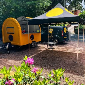 fiberglass kiosk food truck for sale Europe catering trailer chocolate making machine
Kiosko de venta de comida, de fibra de vidrio