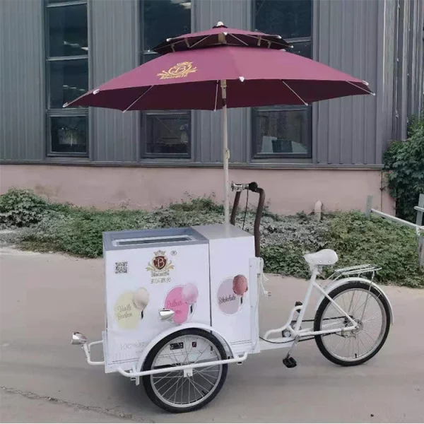 Mobile 3 Wheel Ice Cream Cargo Bike Electric Solar Vending Tricycles Food Trike Cooler Refrigerator Cart - Image 5