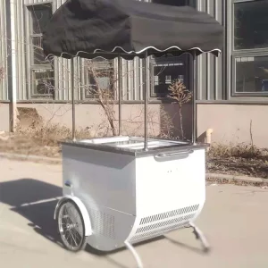 Mobile 3 Wheel Ice Cream Cargo Bike Electric Solar Vending Tricycles Food Trike Cooler Refrigerator Cart