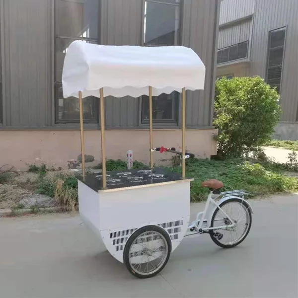 Mobile 3 Wheel Ice Cream Cargo Bike Electric Solar Vending Tricycles Food Trike Cooler Refrigerator Cart - Image 2